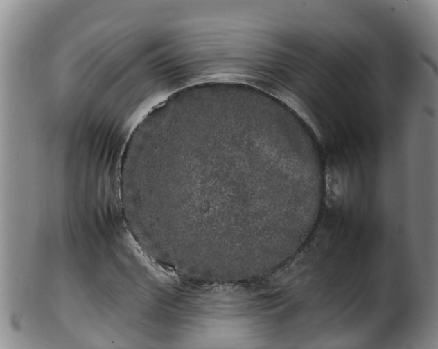 X0000100230972200806061405