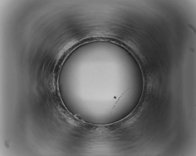 X0000100230974200806061405