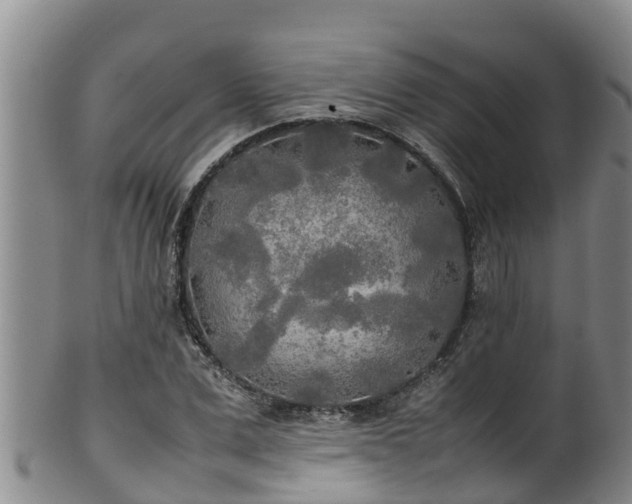 X0000100230975200806061405