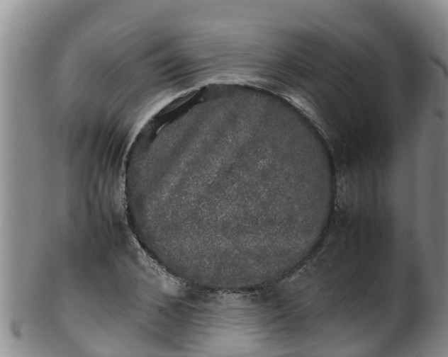 X0000100230976200806061405