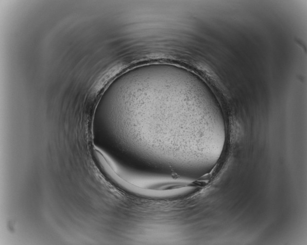 X0000100230977200806061405