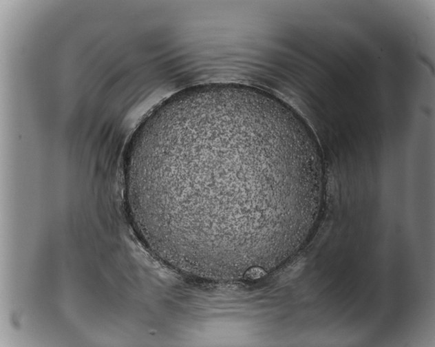 X0000100230979200806061405