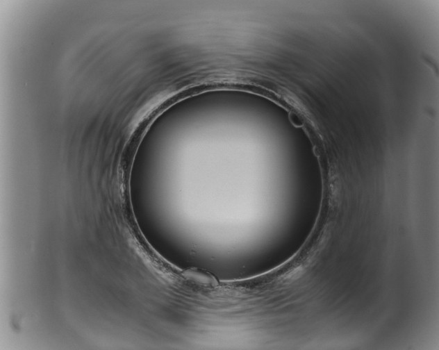 X0000100230981200806061405