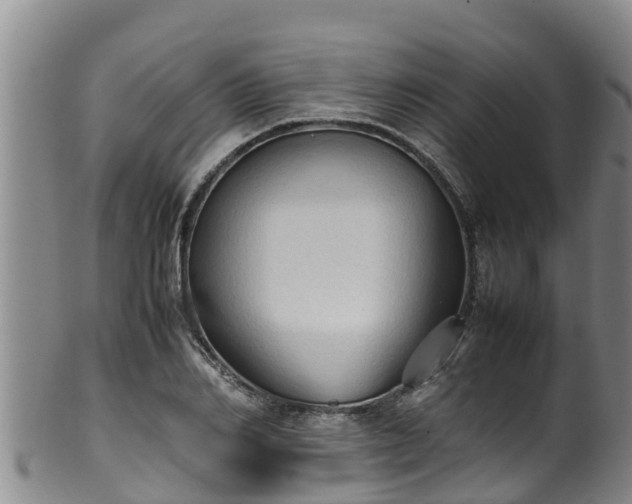 X0000100230982200806061405