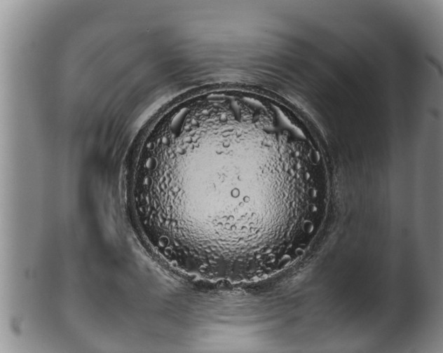 X0000100230983200806061405