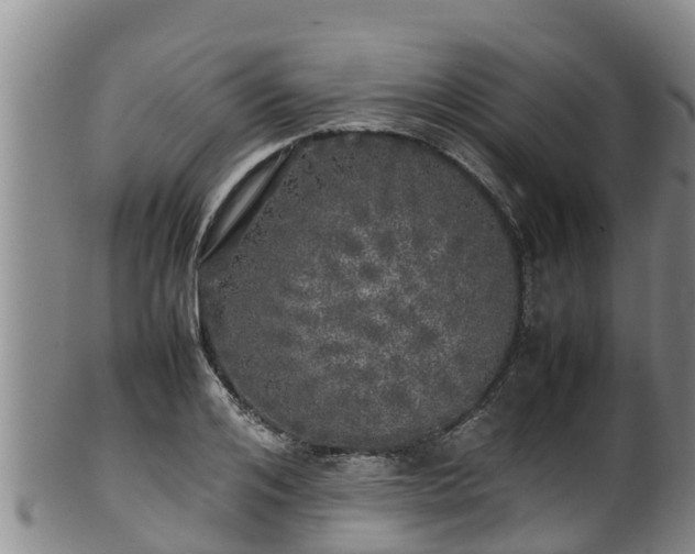 X0000100230984200806061405