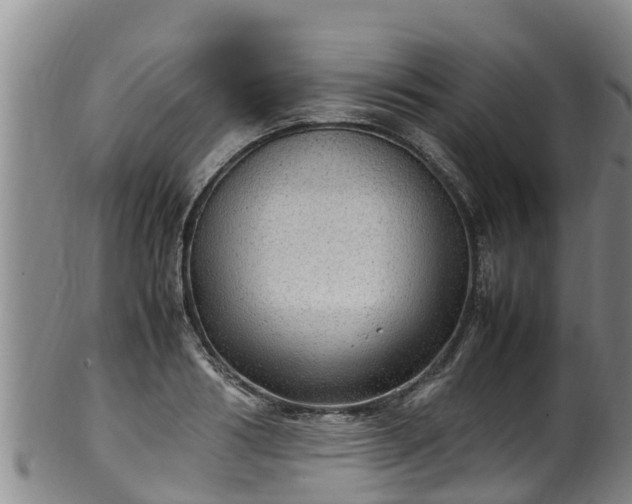 X0000100230986200806061405