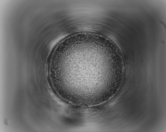 X0000100230987200806061405