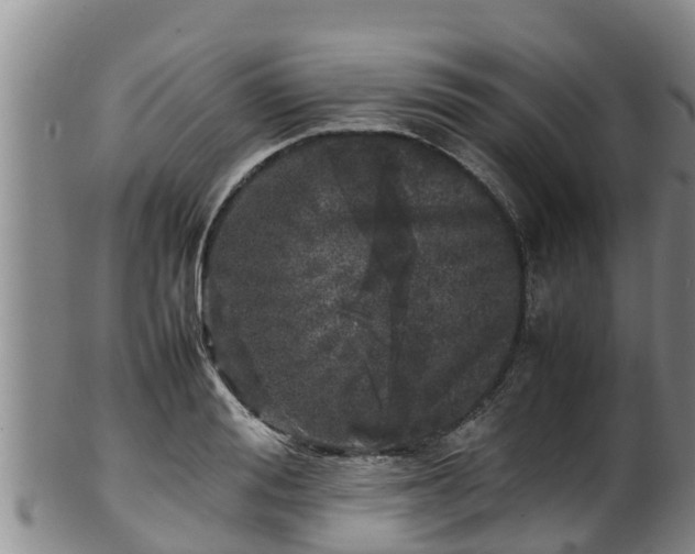 X0000100230988200806061405