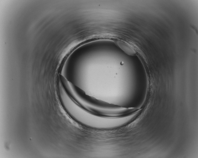 X0000100230989200806061405