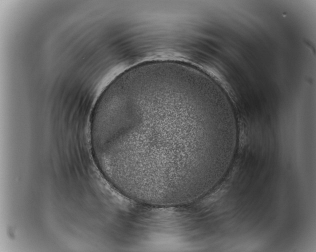 X0000100230990200806061405