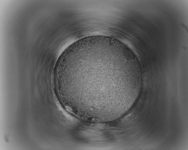 X0000100230991200806061405