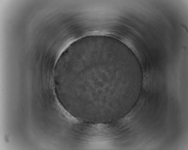 X0000100230992200806061405