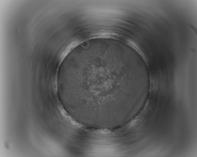 X0000100230994200806061405