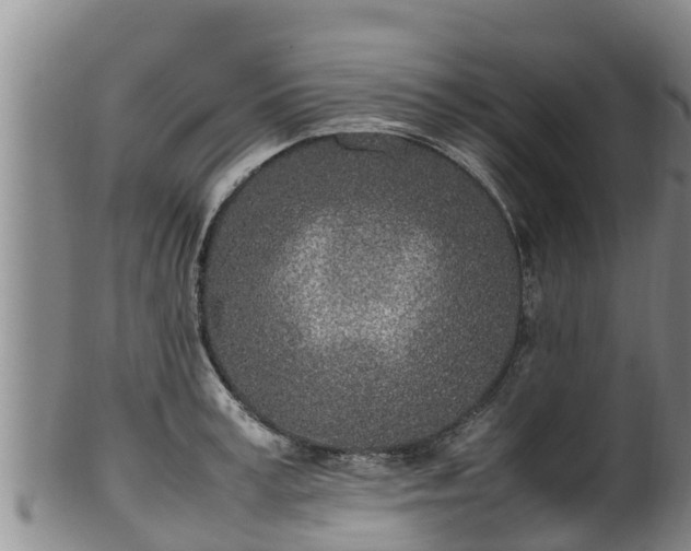 X0000100230995200806061405