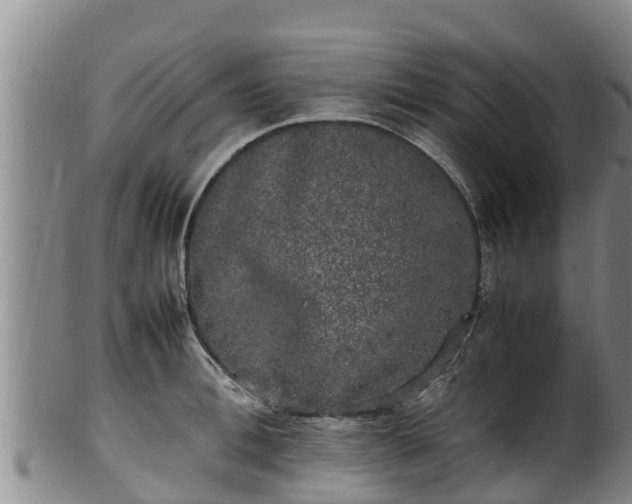 X0000100230996200806061404