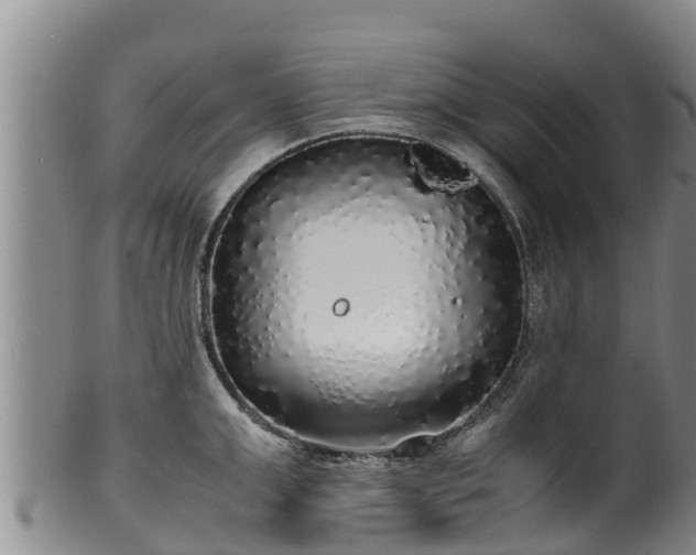 X0000100230999200806061404