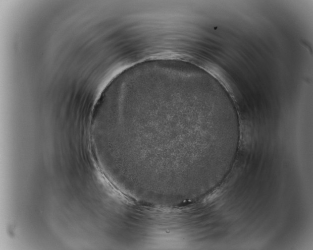 X0000100231000200806061404