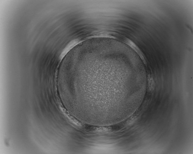 X0000100231002200806061404