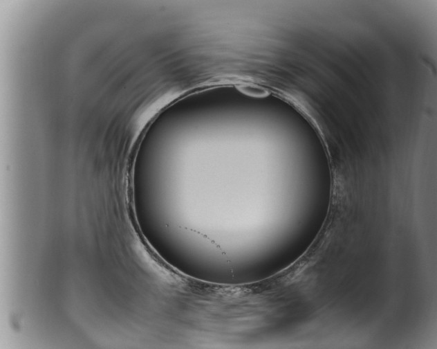 X0000100231003200806061404