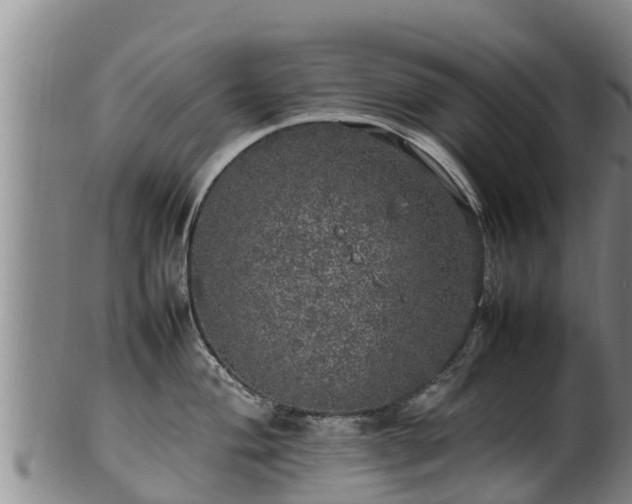 X0000100231004200806061404