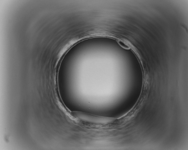 X0000100231005200806061404