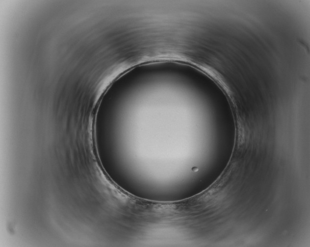 X0000100231006200806061404