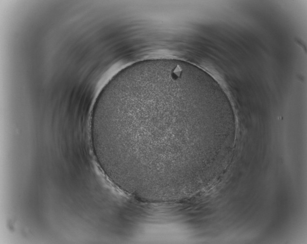X0000100231008200806061404
