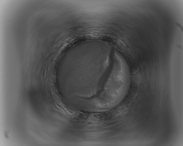 X0000100231009200806061404