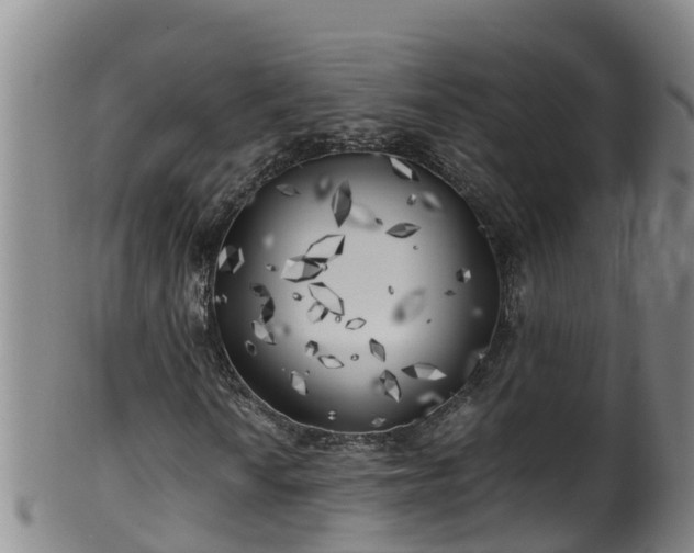 X0000100231010200806061404