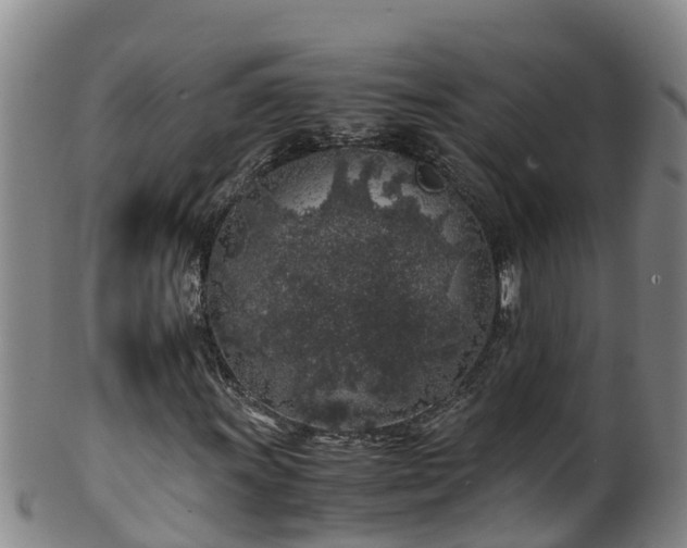 X0000100231011200806061404