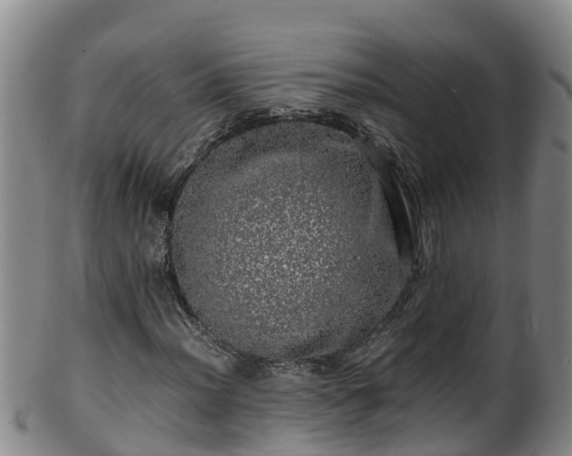 X0000100231012200806061404