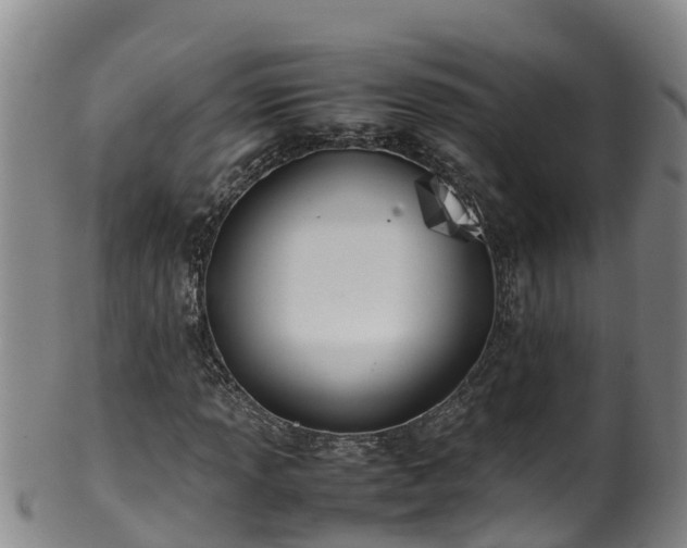 X0000100231013200806061404