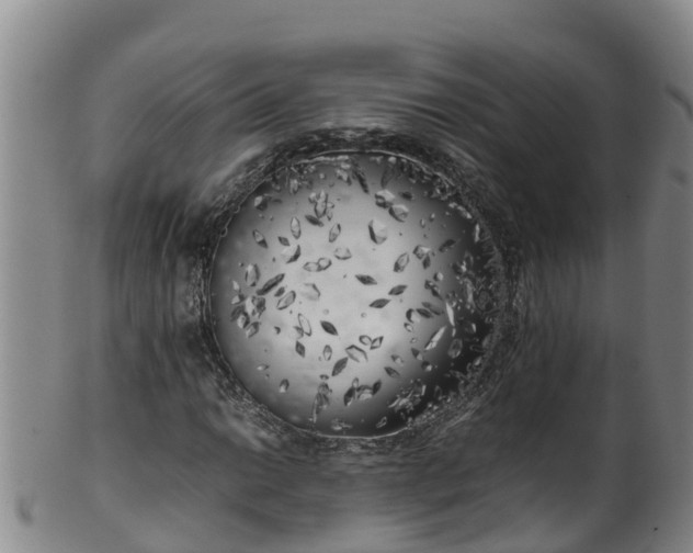 X0000100231014200806061404