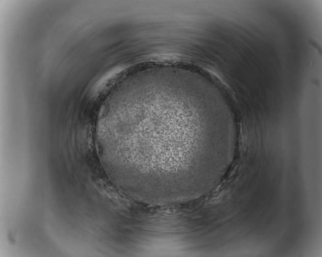 X0000100231016200806061404