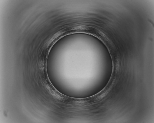 X0000100231017200806061404