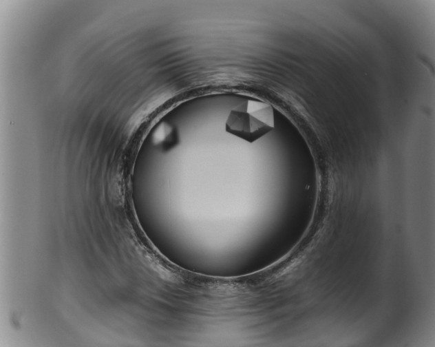 X0000100231018200806061404