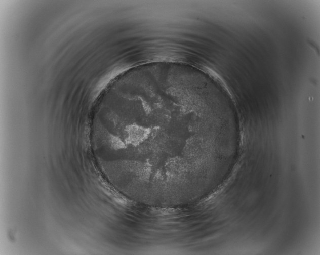 X0000100231019200806061404