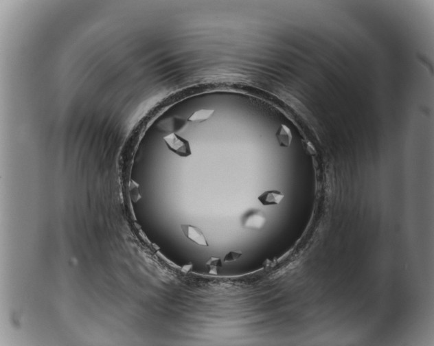 X0000100231022200806061404