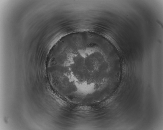 X0000100231023200806061404