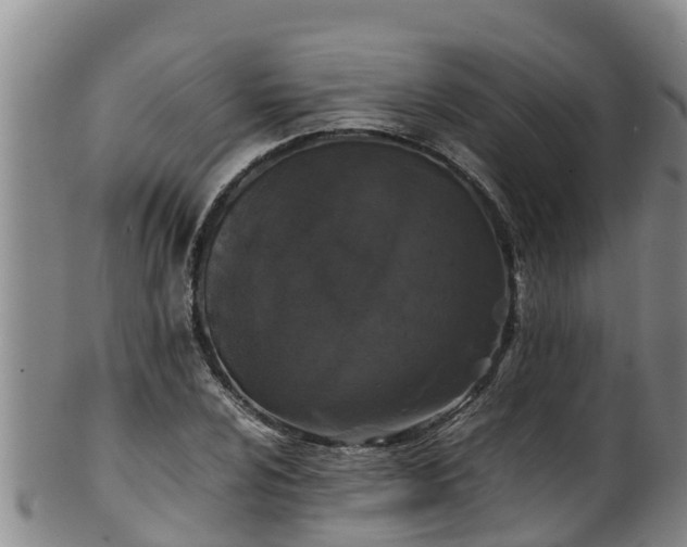 X0000100231024200806061404