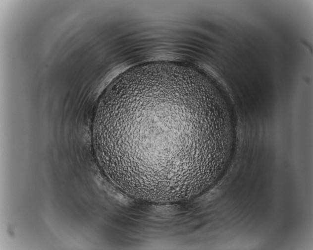 X0000100231025200806061404