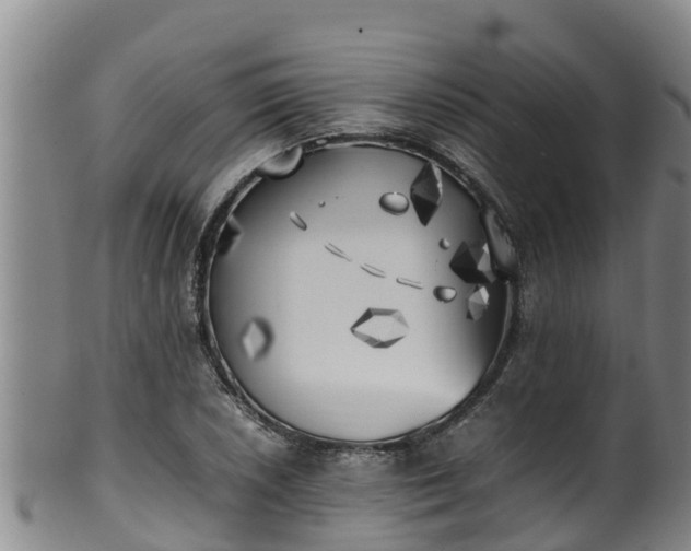 X0000100231026200806061404