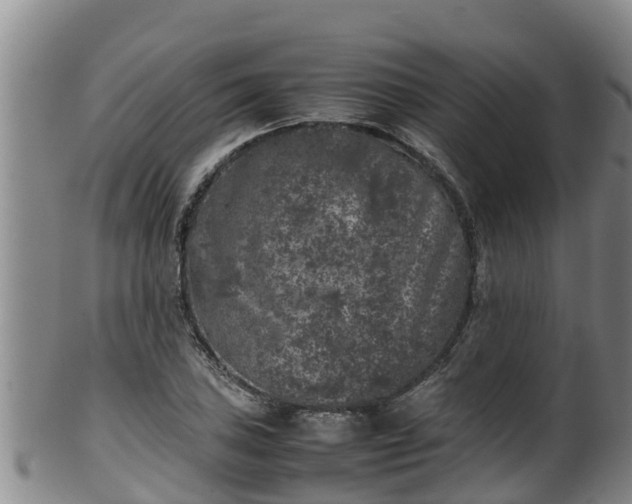 X0000100231027200806061404