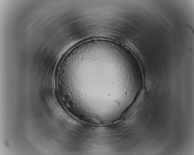 X0000100231028200806061404