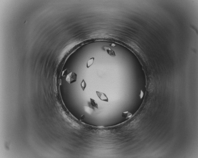 X0000100231030200806061404