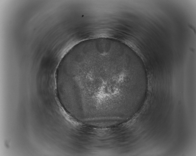 X0000100231031200806061404