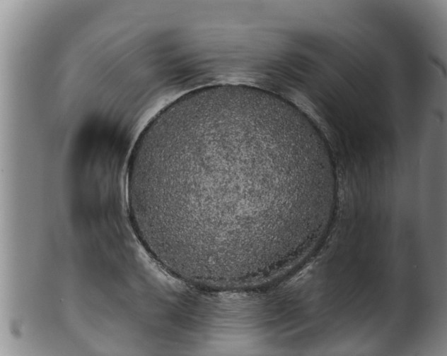 X0000100231032200806061404