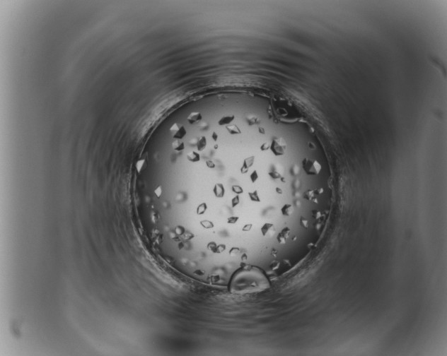 X0000100231033200806061404