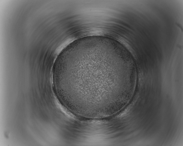 X0000100231034200806061404